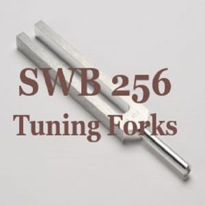 swb256.com